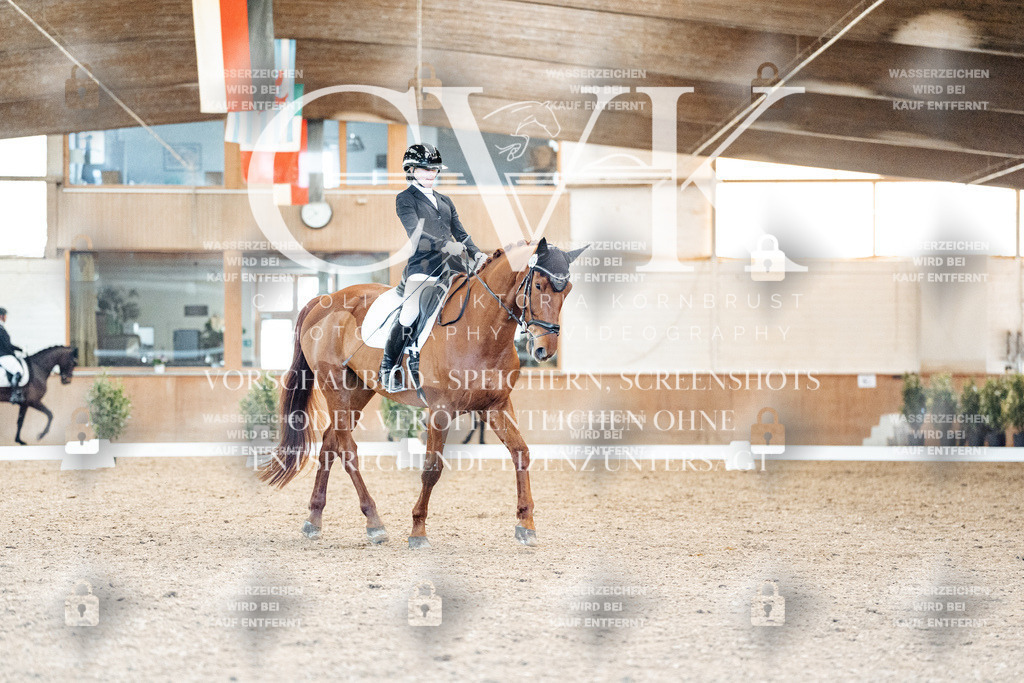 CK908708 | Turnierfotografie Pferdefotografie Trier Rheinland-Pfalz Pferdesport Reitsport Tierfotografie Sportfotografie Pferdevideo Pferdevideografie Equestrianvideography equestrianphotography  - Realisiert mit Pictrs.com