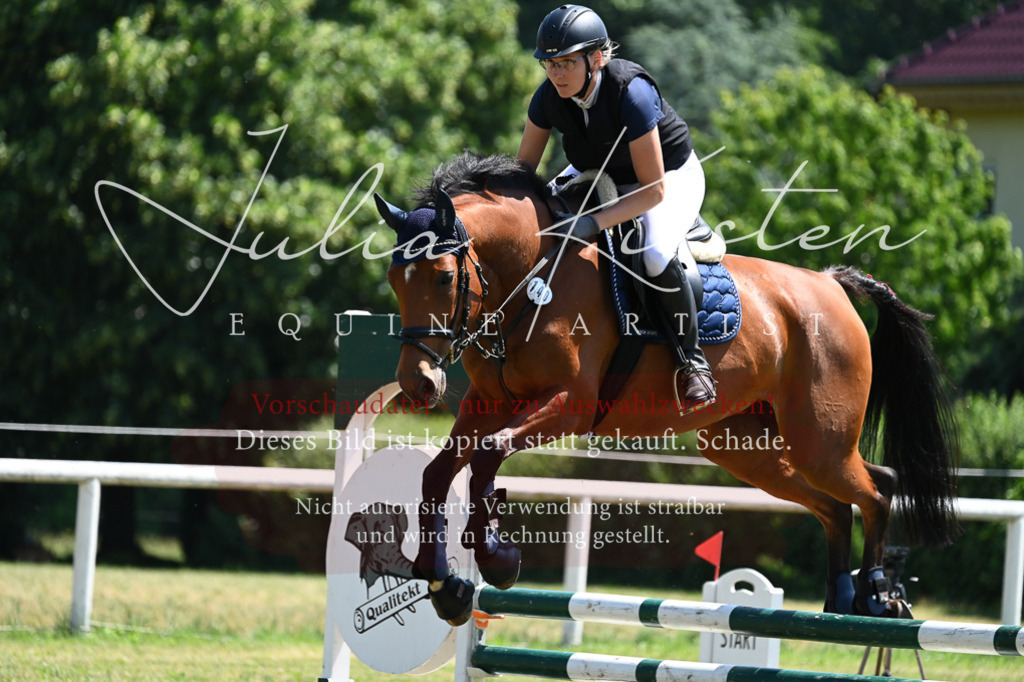DSC_0623 | Pferde- und Turnierfotografie in Westsachsen. Pferdeportraits, Auftragszeichnungen und intuitive Kunst.