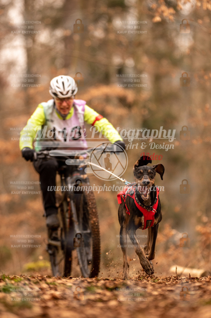 AKM_ST_2023_SAM_Bike-131 | PayLife