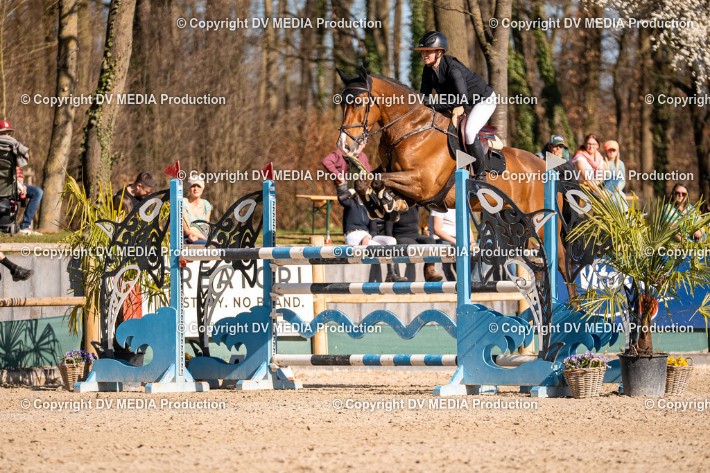 Kranichstein Tag 2-1002 | dv-media-shop - Realisiert mit Pictrs.com