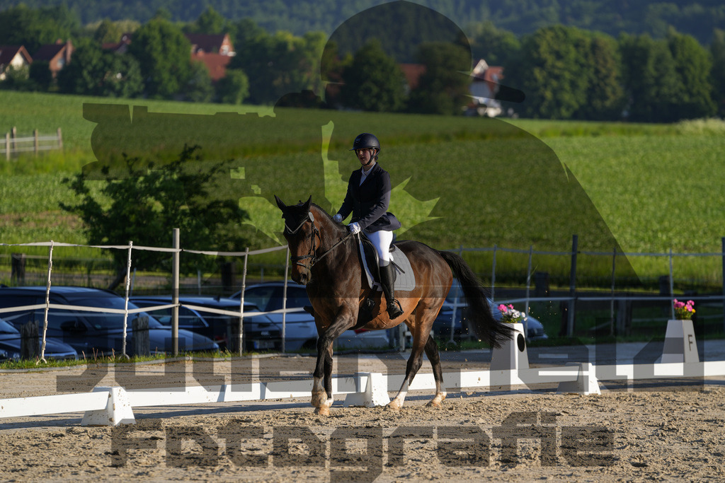 DSC02625 | Julian Held Fotografie - Realisiert mit Pictrs.com