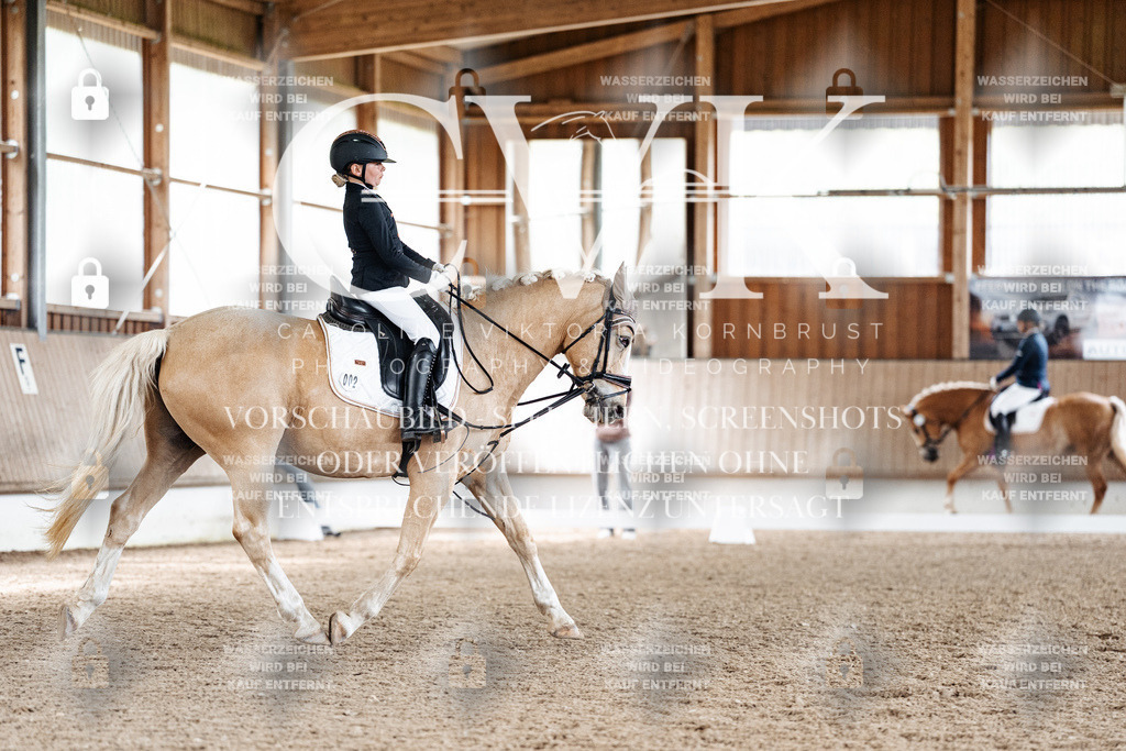 CK900467 | Turnierfotografie Pferdefotografie Trier Rheinland-Pfalz Pferdesport Reitsport Tierfotografie Sportfotografie Pferdevideo Pferdevideografie Equestrianvideography equestrianphotography  - Realisiert mit Pictrs.com