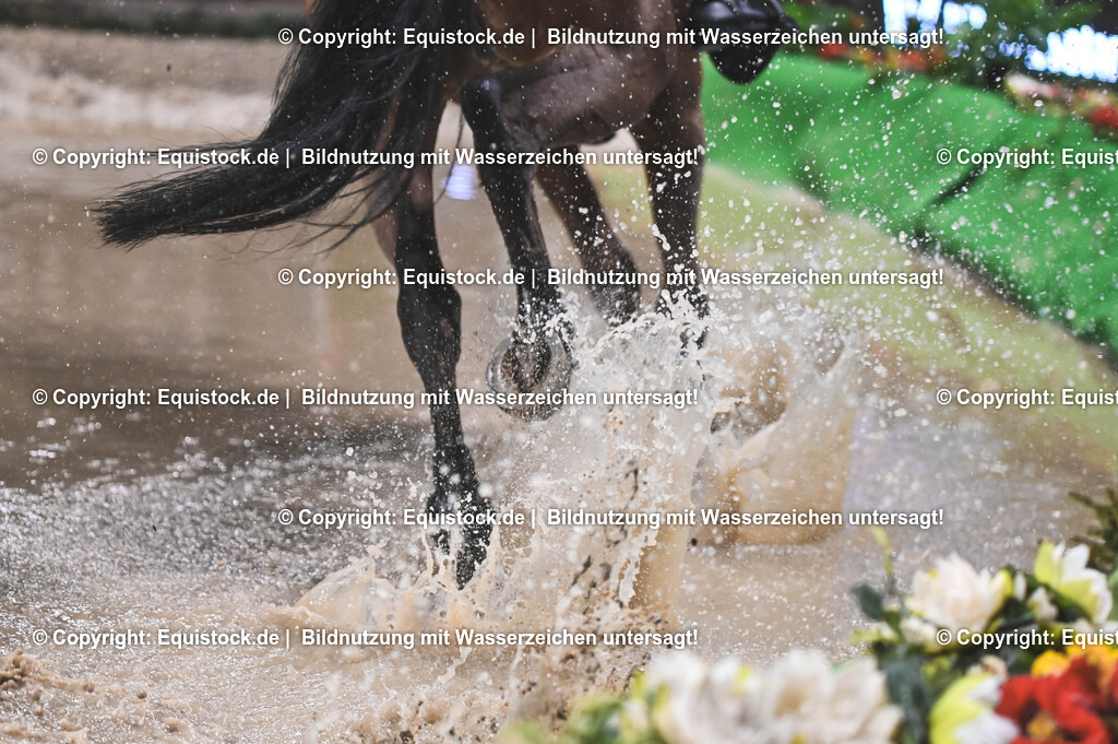 20251112_Indoor-Derby_TOMSPIC_0566 | Foto: Thomas Hartig