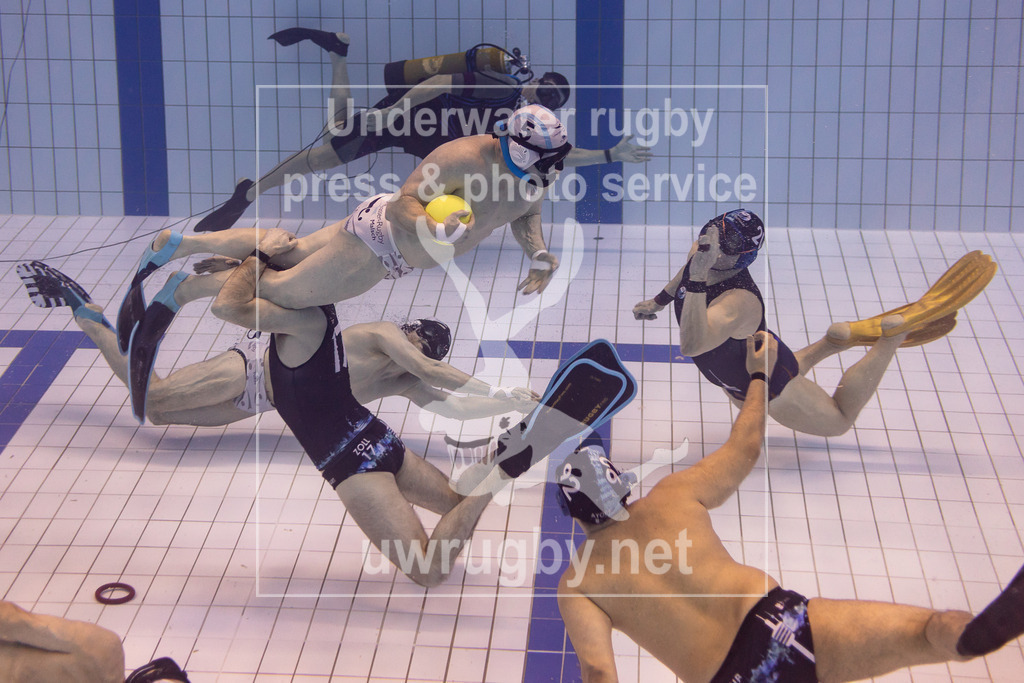 TC Stuttgart vs, TSV Malsch, Unterwasser-Rugby, 1. Bundesliga Süd, 5. Spieltag, 2024/2025, 23.03.2025 | TC Stuttgart (blau) vs, TSV Malsch (weiß) in der Mitte des Spielfelder. der Malscher Spieler wird von einem Stuttgarter Spieler festgehalten. - Realisiert mit Pictrs.com