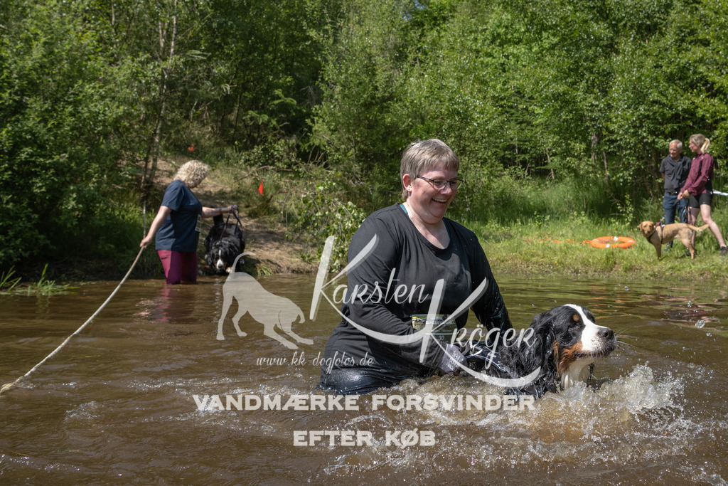 1425DKK990355 | kk-dogfotos