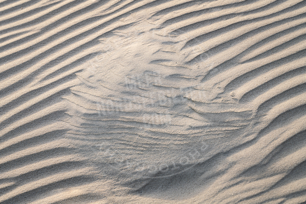 Vom Winde verweht | Kunstwerk im Sand