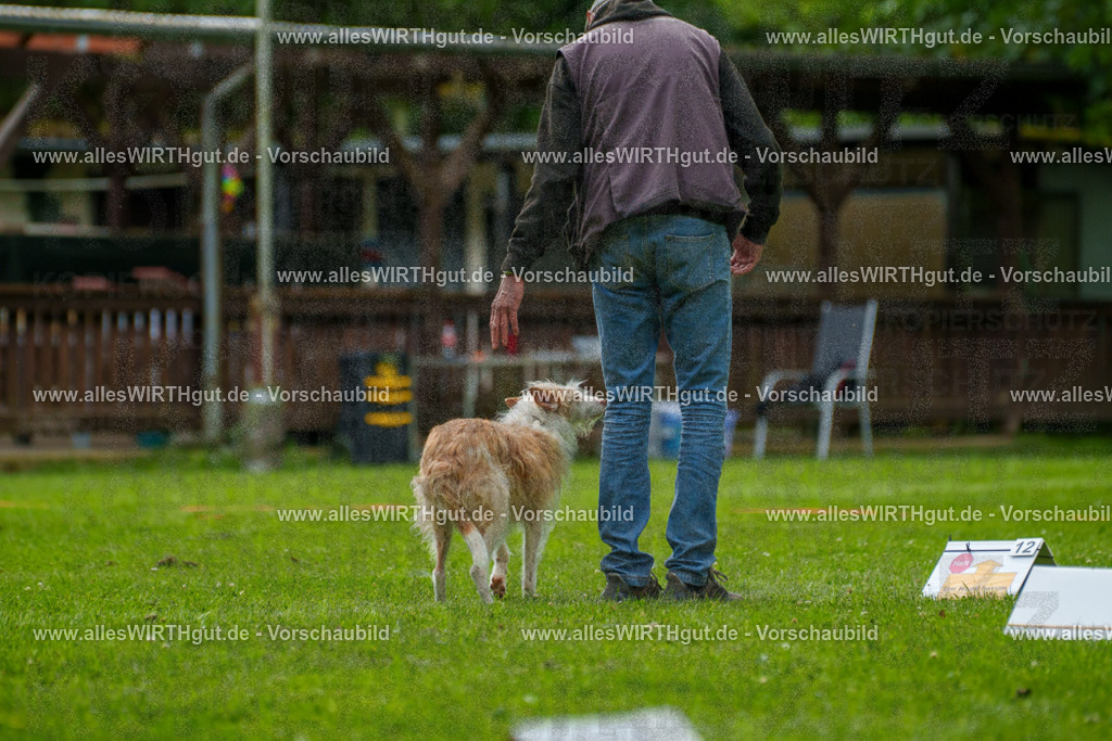 @allesWIRTHgut_Tierfotografie - www.allesWIRTHgut.de - 7R501365 | Professionelle Tierfotografie in Mönchengladbach von Daniel Wirth (allesWIRTHgut). Liebevolle & natürliche Bilder von Hunden & Katzen für unvergessliche Erinnerungen.