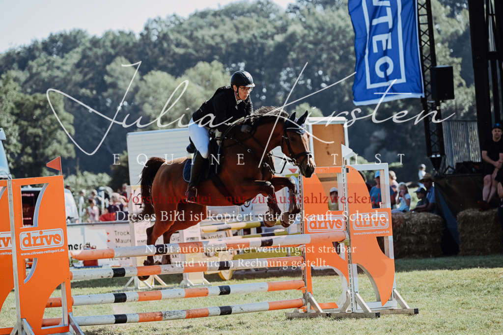 DSC_5791 | Pferde- und Turnierfotografie in Westsachsen. Pferdeportraits, Auftragszeichnungen und intuitive Kunst.