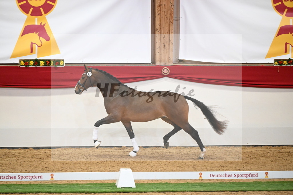 Kat.-Nr. 41 v. Baccardi_s Best_Beckmann_2250015 | hf-fotografie - Realisiert mit Pictrs.com