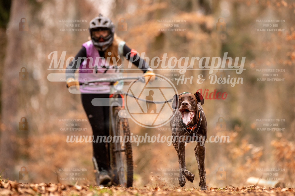 AKM_ST_2023_SAM_Scooter-42 | PayLife