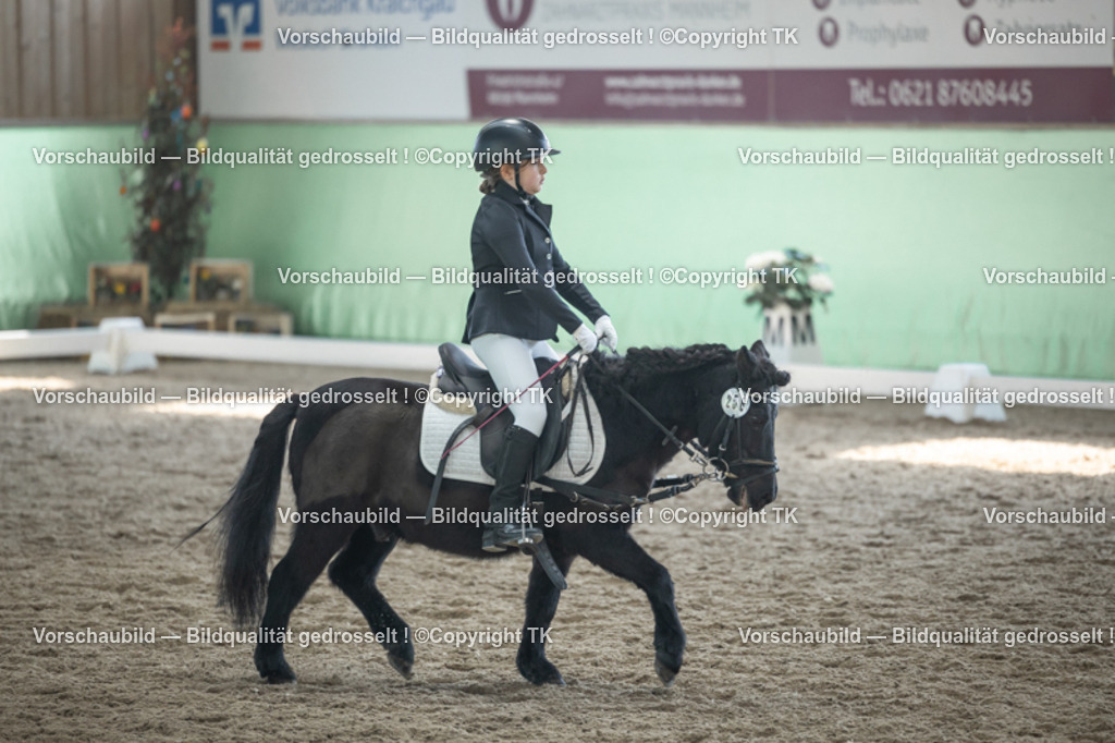 _D5A9041 | Emotionale Pferde- & People-Fotografie rund um Heidelberg, Leimen & Umgebung. Natürliche Fotos von Pferd, Mensch & Familie. Jetzt Termin sichern!