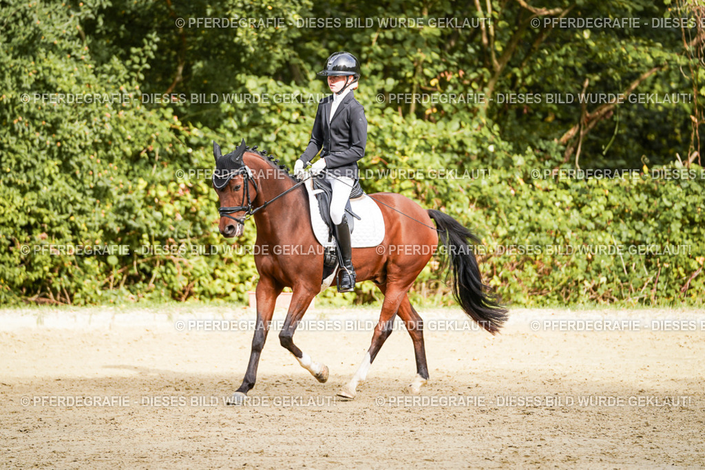 DSC09629 | Pferdegrafie