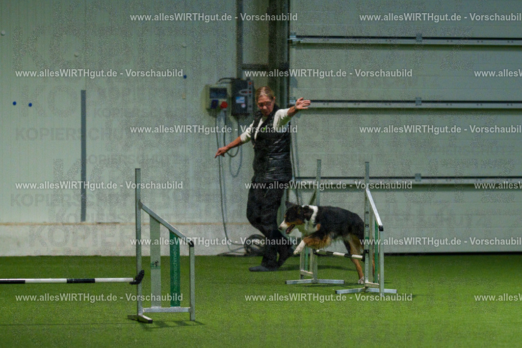 7R507627 | Professionelle Tierfotografie in Mönchengladbach von Daniel Wirth (allesWIRTHgut). Liebevolle & natürliche Bilder von Hunden & Katzen für unvergessliche Erinnerungen.