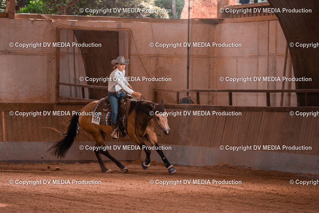 NE201215 | dv-media-shop - Realisiert mit Pictrs.com