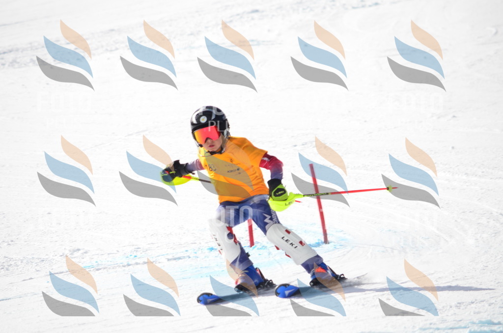 C8005 | holidayphoto