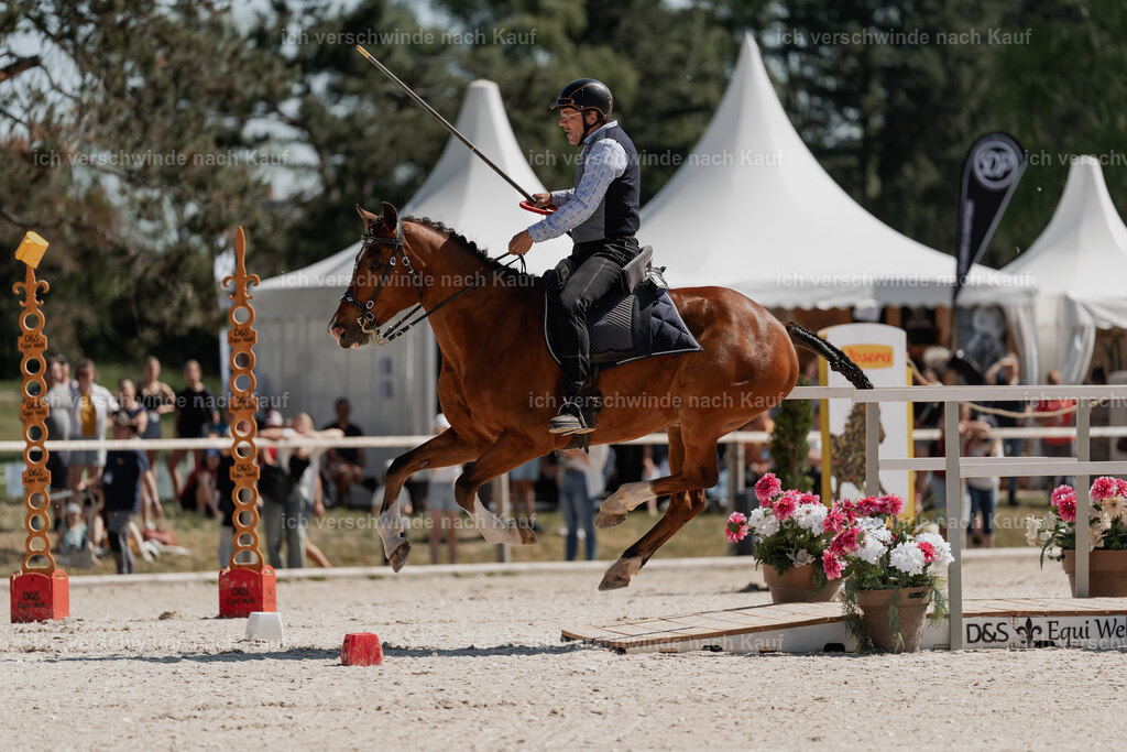 WE_SP_Stoib_339_PI2025_1509 | Pferd International München 2025