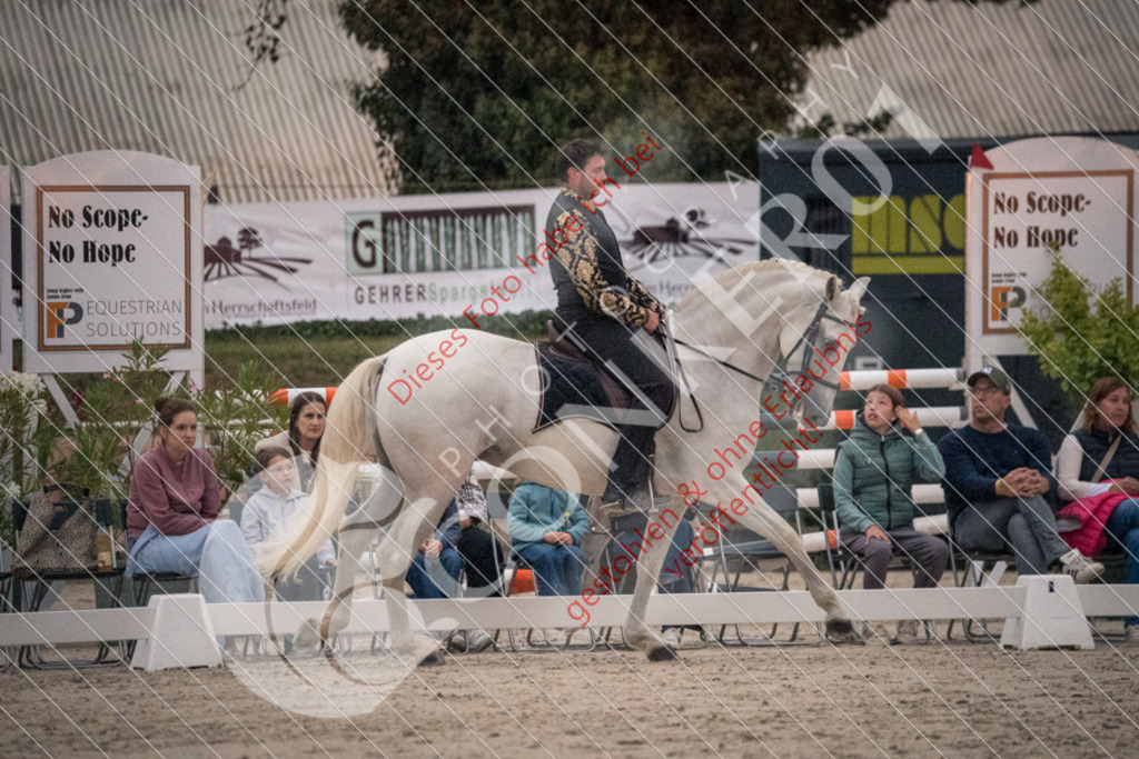 DSC_0056 | Sport-, Event- und Tierfotos in Profiqualität. Einfach auswählen, bestellen und herunterladen. Dein Moment – perfekt festgehalten.