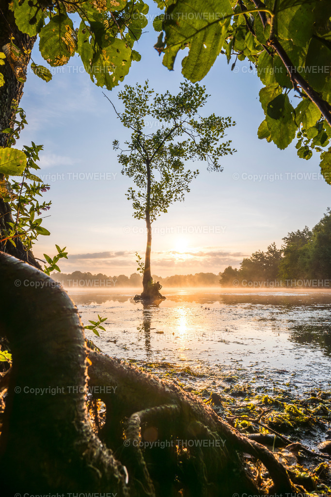 _1038864-Enhanced-NR | thowehey - Realisiert mit Pictrs.com