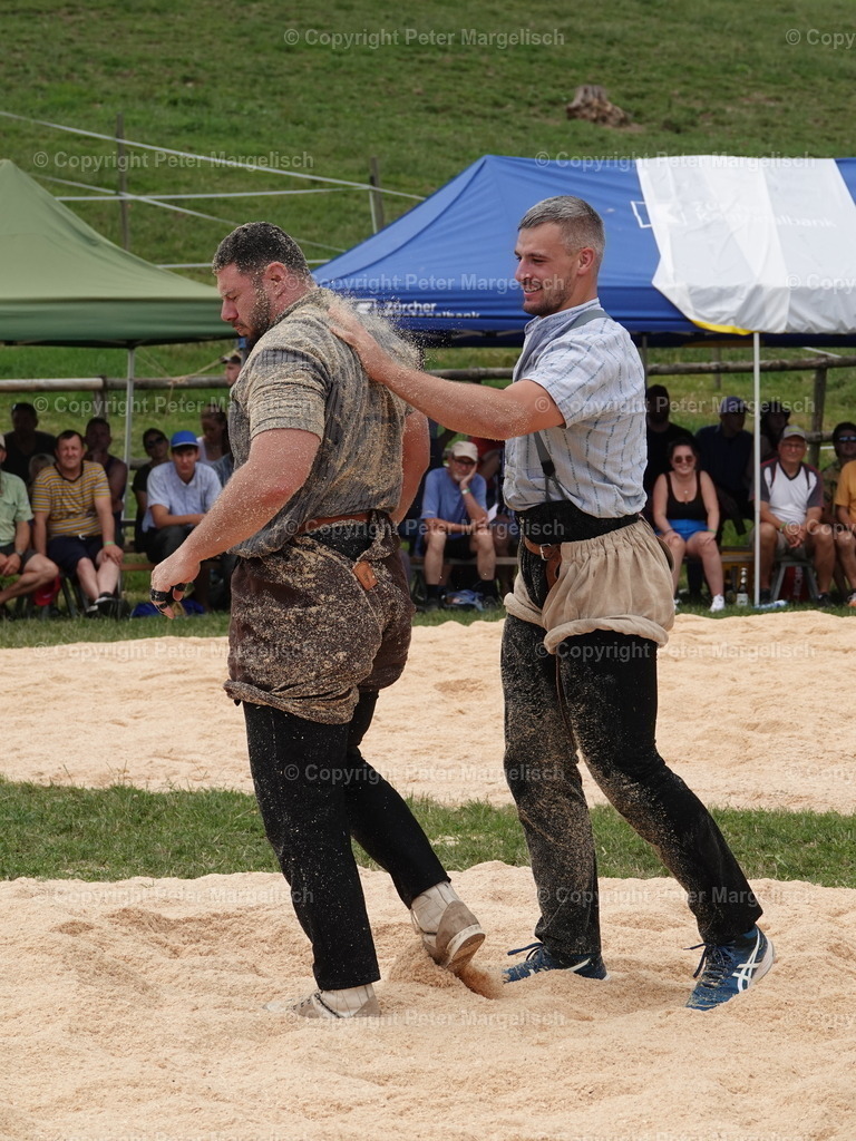 DSC05132 | Schwingen - Realisiert mit Pictrs.com