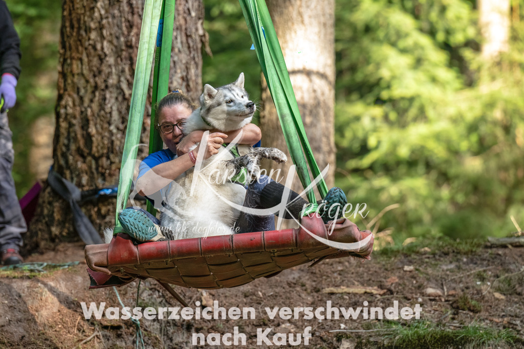 1113_ZZ94400-Bearbeitet | kk-dogfotos