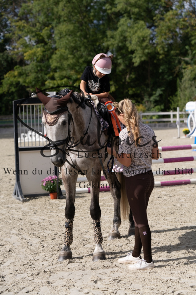 A7V07584 | Pferdefotograf