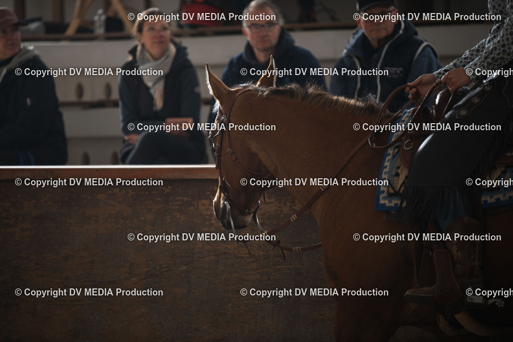 Heiligenwald Tag 1-348 | dv-media-shop - Realisiert mit Pictrs.com