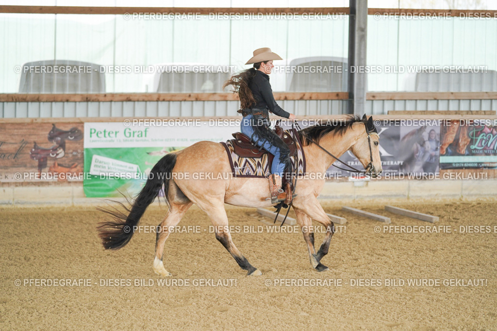 DSC02517 | Pferdegrafie