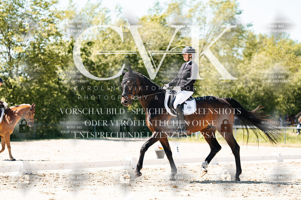 CK905424 | Turnierfotografie Pferdefotografie Trier Rheinland-Pfalz Pferdesport Reitsport Tierfotografie Sportfotografie Pferdevideo Pferdevideografie Equestrianvideography equestrianphotography  - Realisiert mit Pictrs.com