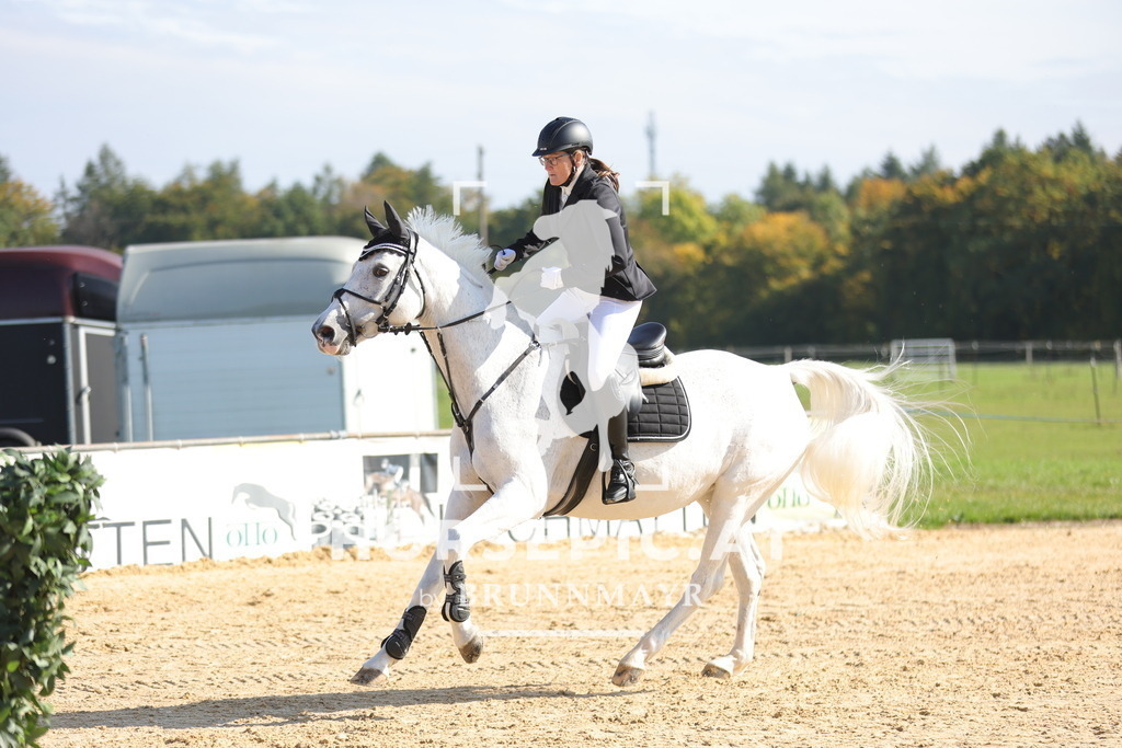 0P6A8149 | Willkommen bei Brunnmayr - Design & Fotografie – Ihrem Spezialisten für Reitturniere und Pferdeveranstaltungen in Oberösterreich, Salzburg und Bayern! Seit über 17 Jahren sind wir leidenschaftlich dabei.