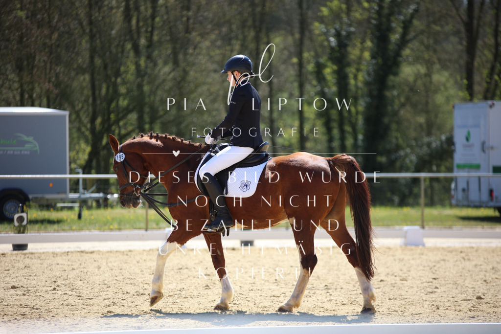 IMGT0815 | pl-fotografie