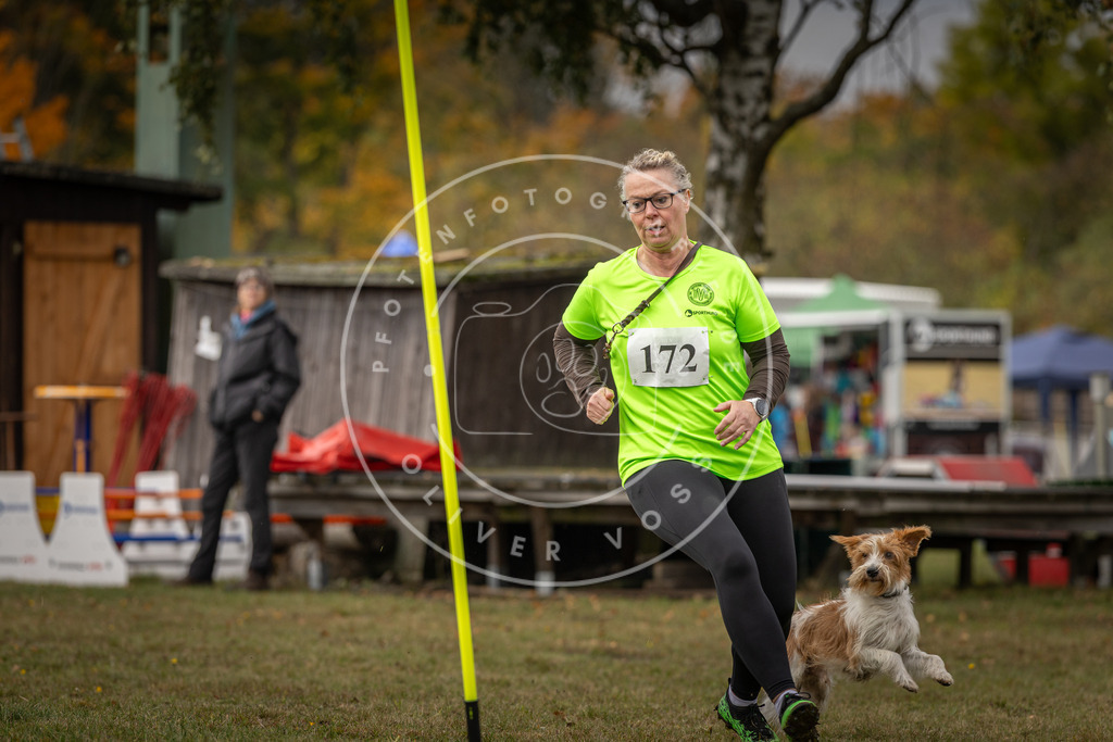Pfotenfotografie_DV3A5569 | Hundefotografie, Tierfotograf, Pfotenfotografie, Fotoshooting Hund, Hunde Portrait, Hundesport, Hundeportraits, Heideshooting, Hunde, Sportfotograf, Hundefotograf, Turnierhundsport, THS,  - Realisiert mit Pictrs.com