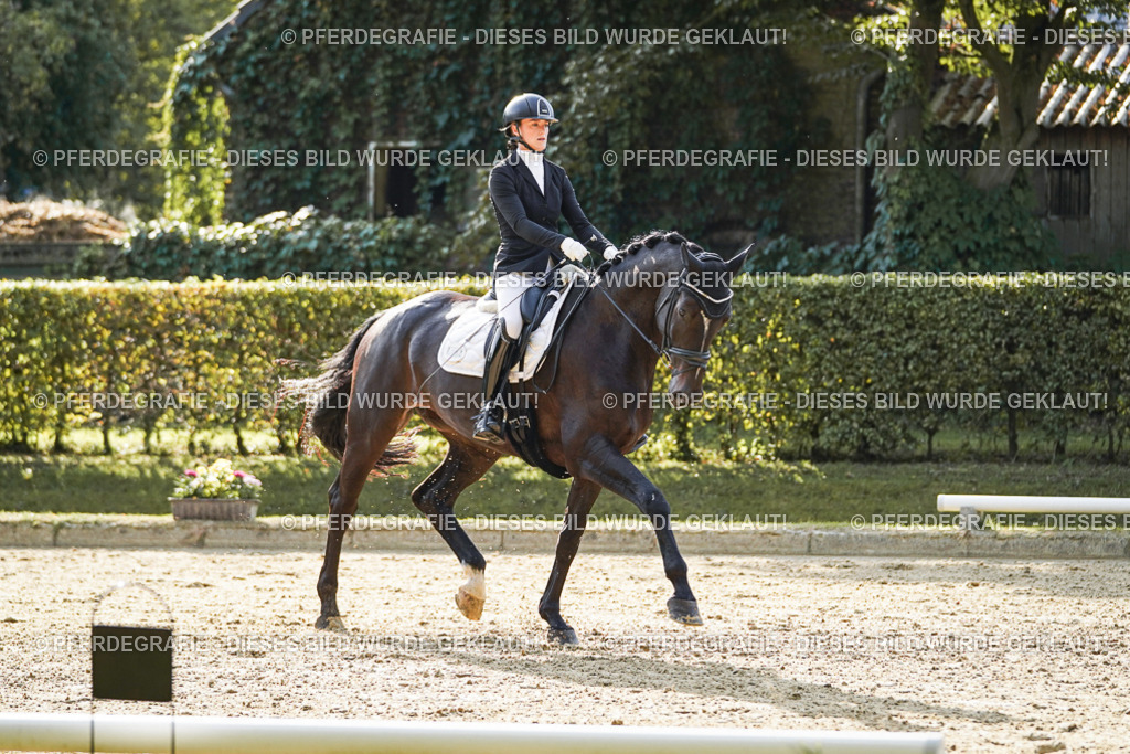 DSC05528 | Pferdegrafie