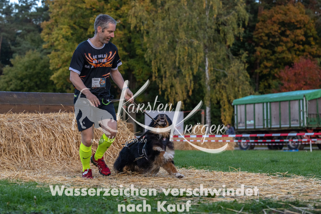 0818_ZZ90347 | kk-dogfotos