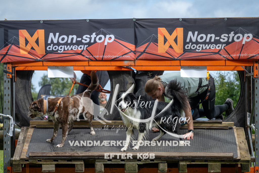 1028_ZZ91002 | kk-dogfotos