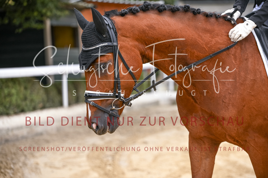 Schugtsche-Aluta25-42.EDressur -41 | Schugtsche Fotografie - Realisiert mit Pictrs.com