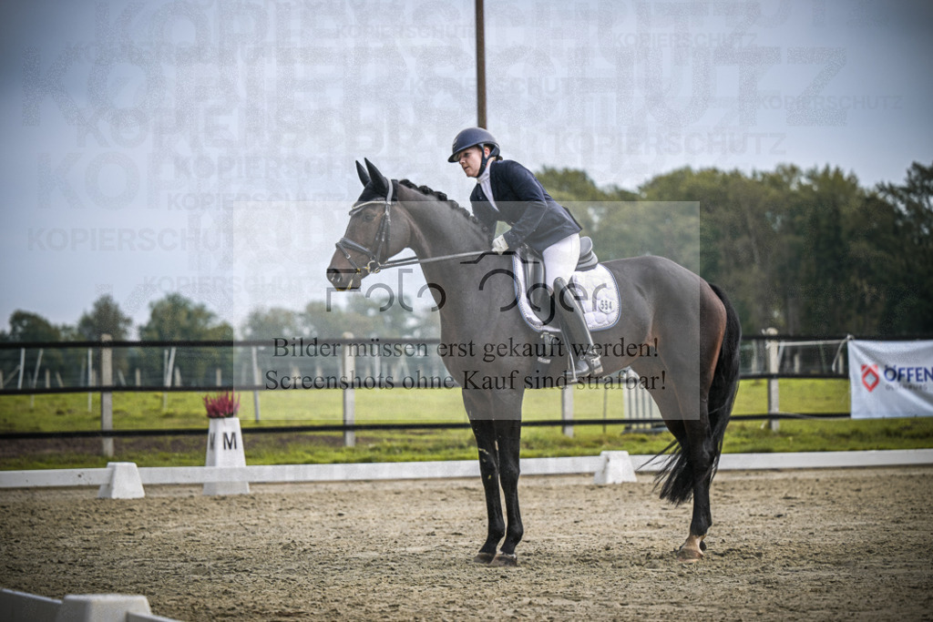DOS_B243 | Entdecke hochwertige Reitturnierfotos von Foto Oger. Professionell, emotional und authentisch – jetzt Lieblingsmomente im Shop bestellen.Deutschlandweite Turnierfotografie. - Realisiert mit Pictrs.com