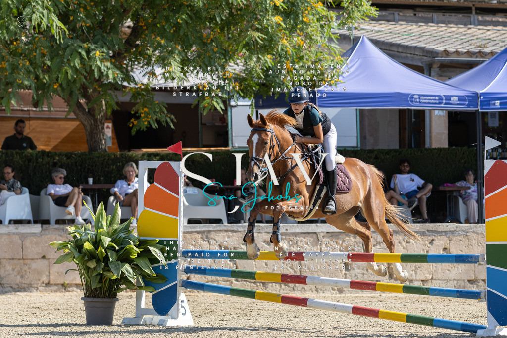 IMG_5268 | s-jay-photography - Realisiert mit Pictrs.com