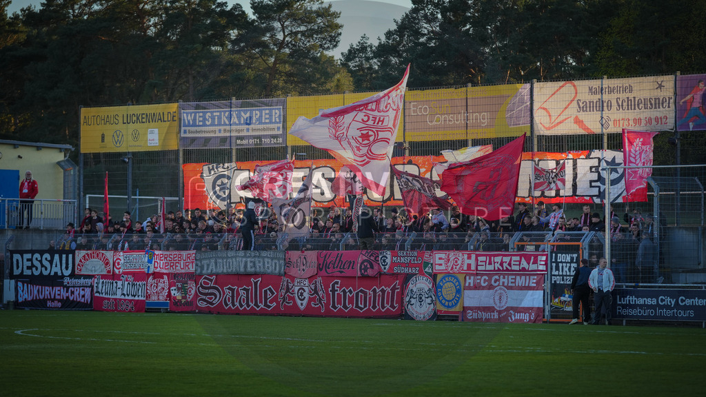 Fußball, Herren, Saison 2025/2026, Regionalliga Nordost, 22. Spieltag, FSV 63 Luckenwalde vs. Hallescher FC, Dienstag 07.04.2026, Werner-Seelenbinder-Stadion Luckenwalde, | Fußball, Herren, Saison 2025/2026, Regionalliga Nordost, 22. Spieltag, FSV 63 Luckenwalde vs. Hallescher FC, Dienstag 07.04.2026, Werner-Seelenbinder-Stadion Luckenwalde, Im Bild: Die mitgereisten Fans des Halleschen FC in Luckenwalde. - Realisiert mit Pictrs.com