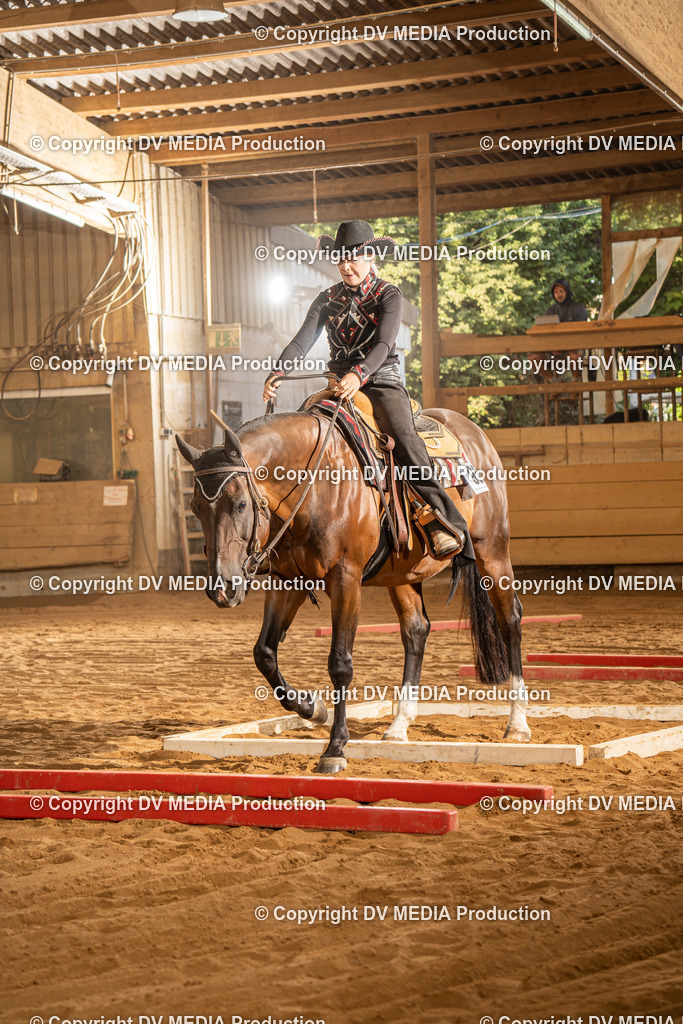 NID02563 | dv-media-shop - Realisiert mit Pictrs.com