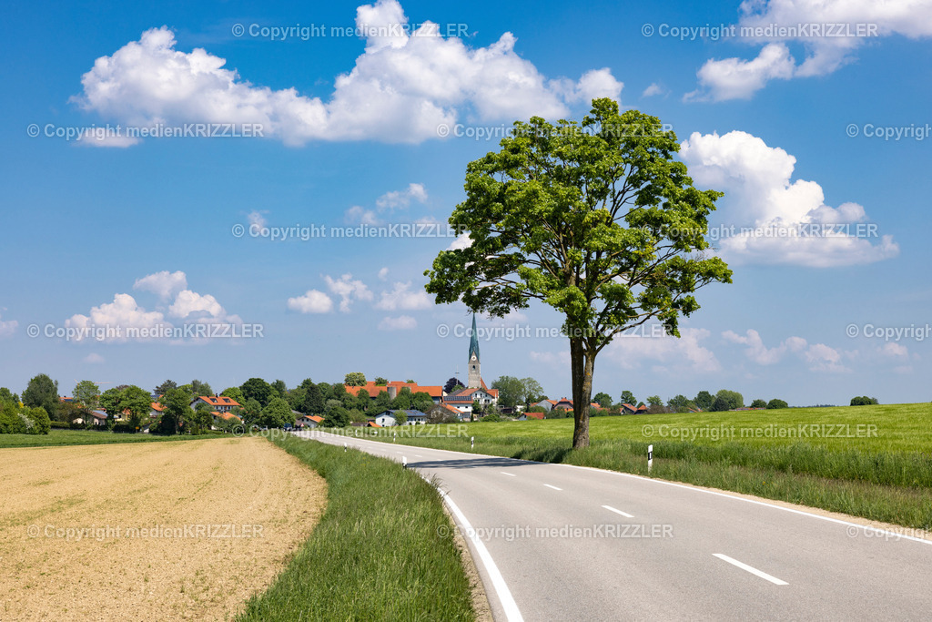 Kienberg | medienkrizzler - Realisiert mit Pictrs.com