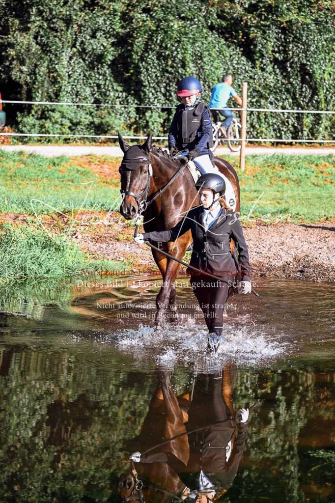 DSC_0252 | Pferde- und Turnierfotografie in Westsachsen. Pferdeportraits, Auftragszeichnungen und intuitive Kunst.