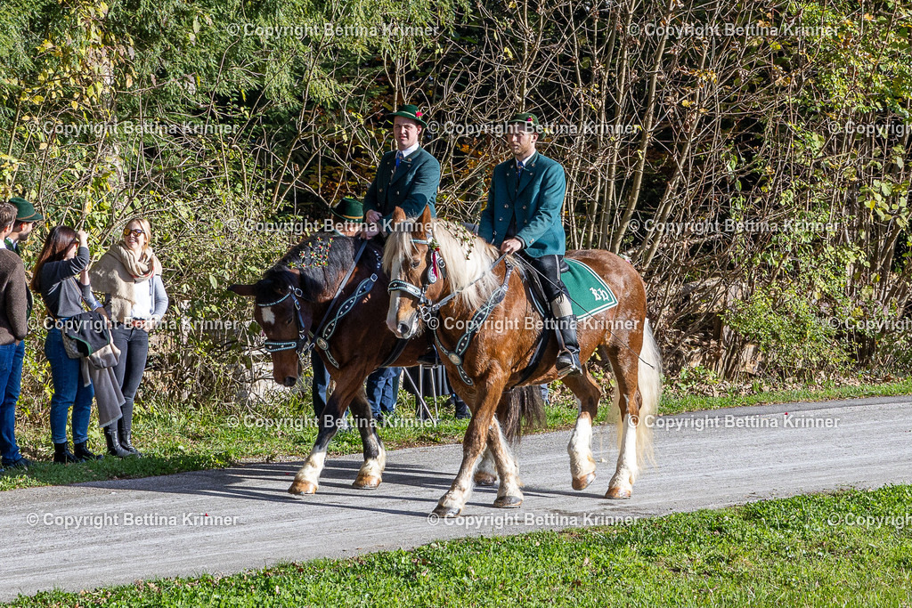 LBT24-507 | foto-bettina-krinner - Realisiert mit Pictrs.com