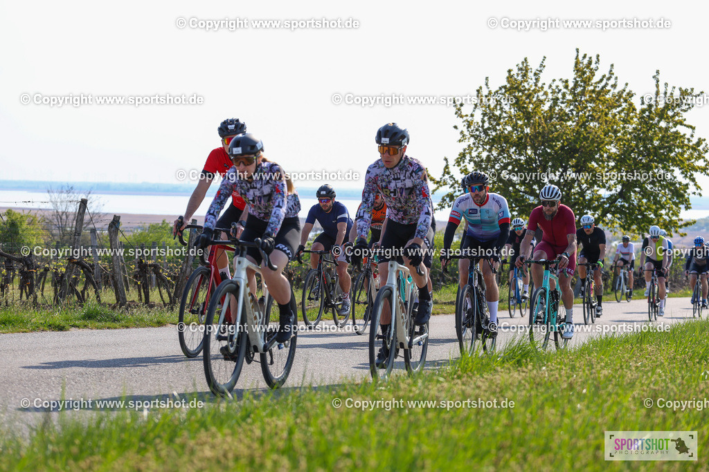 IMG_1059 | @sportshot_your_pictrs #yourpictures#roadtowm2029 #nrm #neusiedlerseeradmarathon #neusiedlersee #neusiedlerseetourismus #burgenland #mörbisch #nrm26 #burgenlandtourismus #voglundco #poweredbyburgenlandtourismus #radsport #rad #marathon #ucigranfondo #visitburgenland #ucigranfondoworldseries