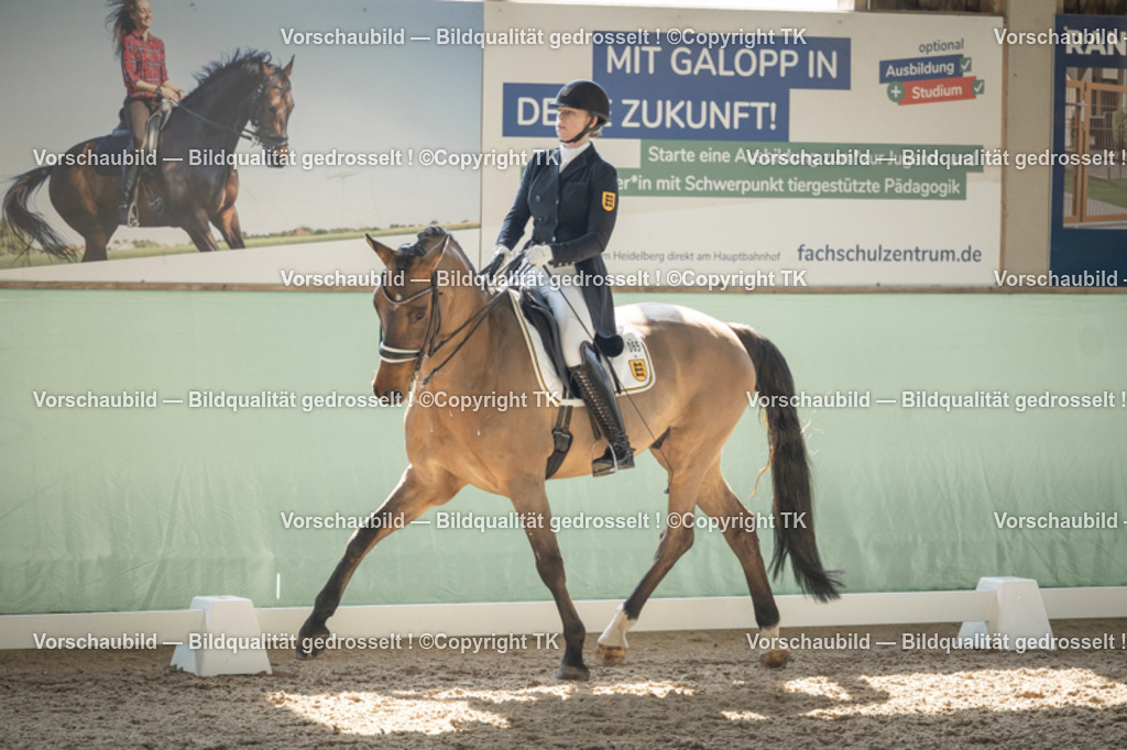 _D5A2300 | Emotionale Pferde- & People-Fotografie rund um Heidelberg, Leimen & Umgebung. Natürliche Fotos von Pferd, Mensch & Familie. Jetzt Termin sichern!