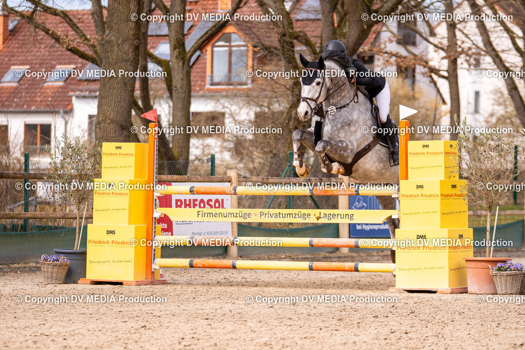 Kranichstein Tag 2-571 | dv-media-shop - Realisiert mit Pictrs.com