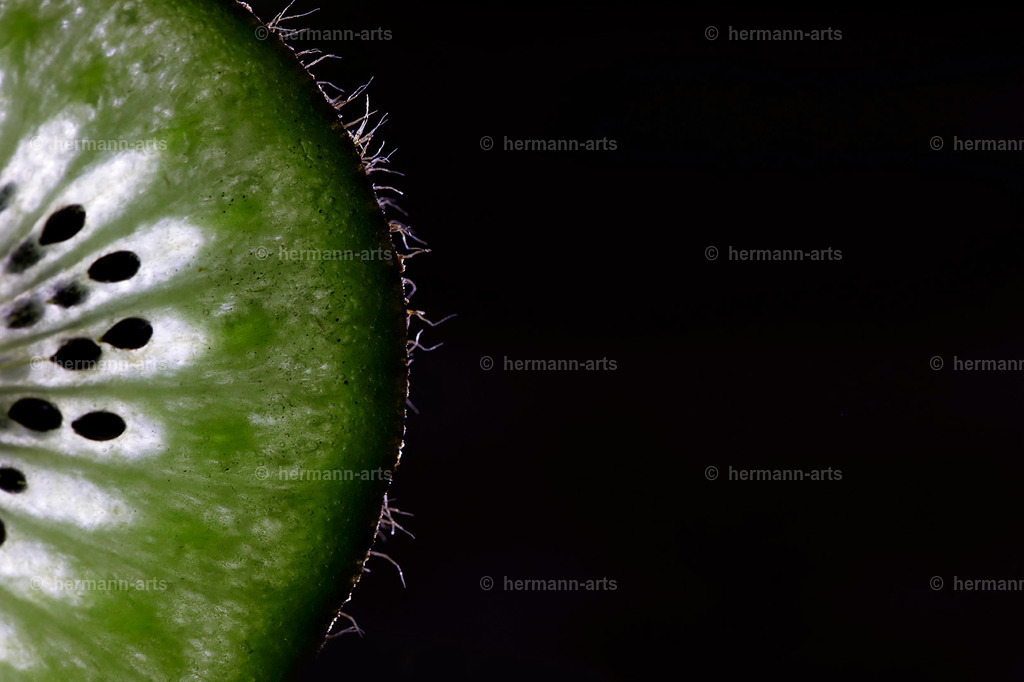 Fruits-Art-007 | Photo Foto Kunst Art schwarzweiss Bilder Rheine Münster Berlin Blumen 