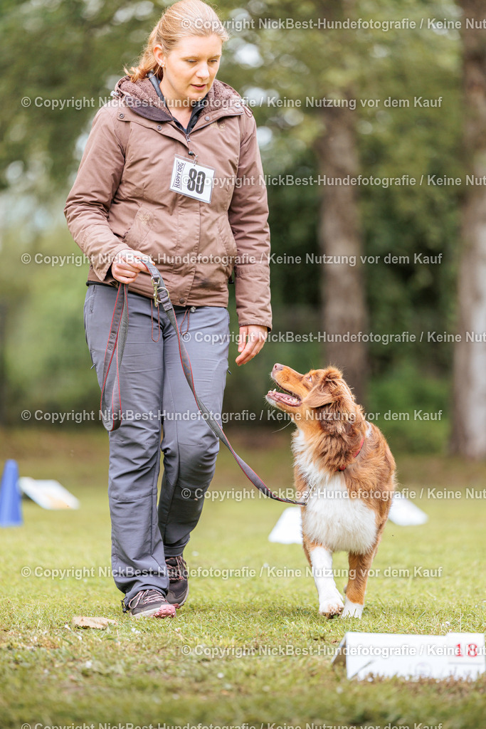 RO-Blumenthal-2026-Nickbest-Hundefotografie-3432 | Dein Hund! Dein Moment! Deine Erinnerungen! Hundefotografie in Bremen Blumenthal. Ich fange die besonderen Momente deines Vierbeiners ein – ob Indoor mit Blitzanlage oder in der freien Natur. Sicher dir dein Moment und dein Termin für eure Erinnerungen.