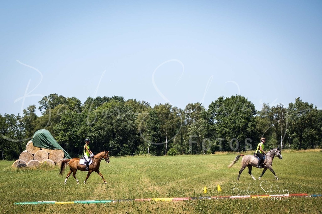 CJP_2026-06-26_11 | Stimmungsvolle Fotografie von Pferden, fotografische Begleitung von Veranstaltungen, Golfturnieren und Distanzritten - Realisiert mit Pictrs.com