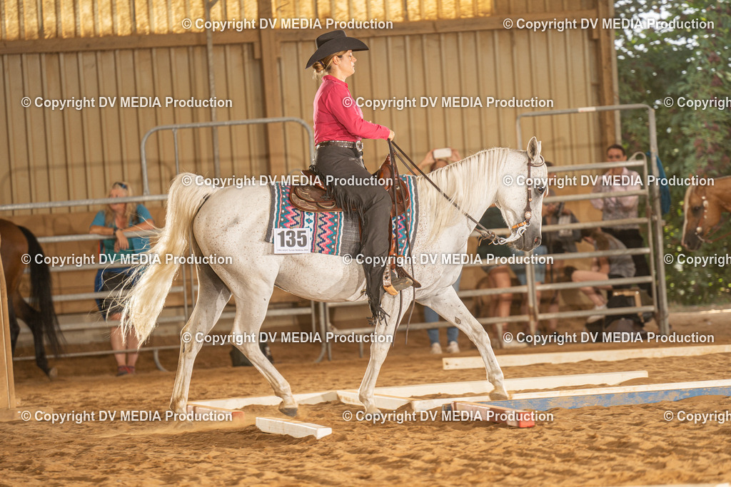 NID02684 | dv-media-shop - Realisiert mit Pictrs.com