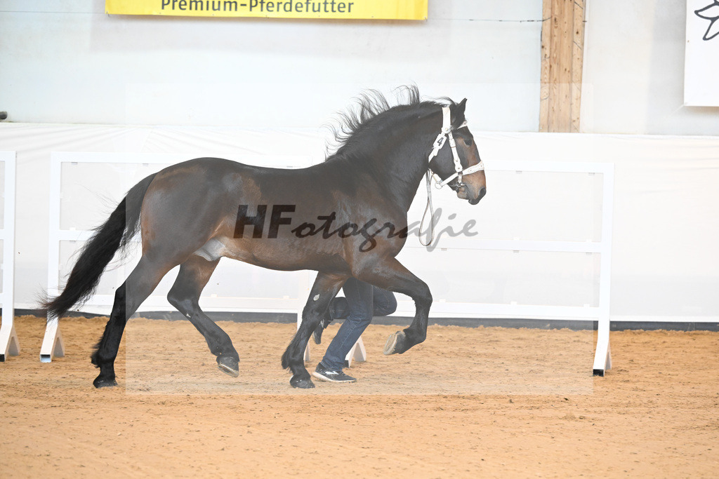 Kat-Nr. 4 v. Gladiator II_Zollhauser_2230026 | hf-fotografie - Realizzato con Pictrs.com